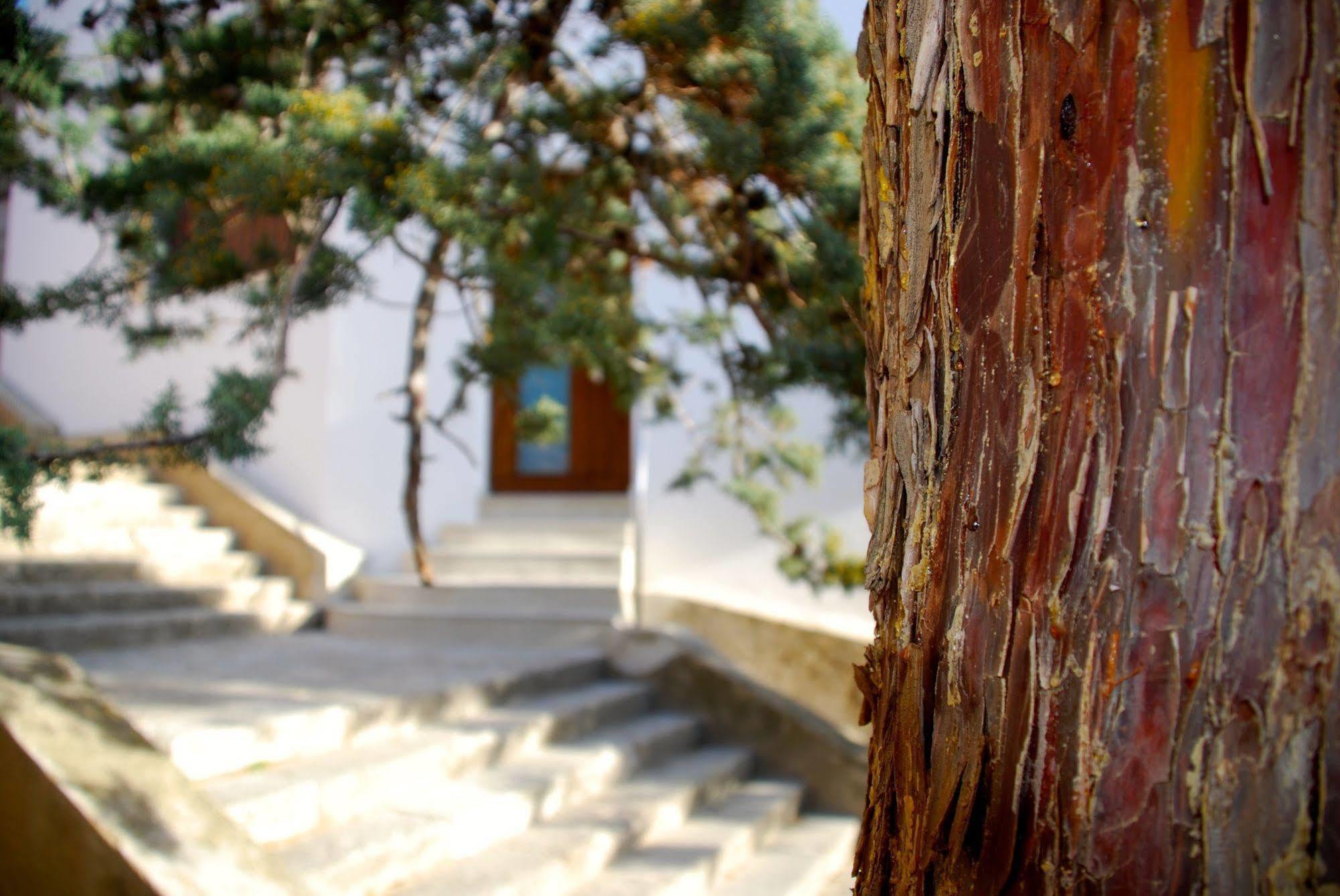 Rural Castillo De 2 Pax (adults Only)